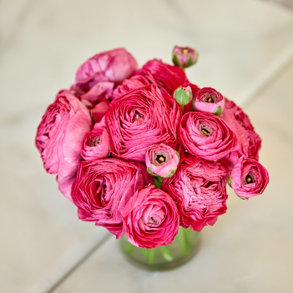 Meet your Posher, Lori